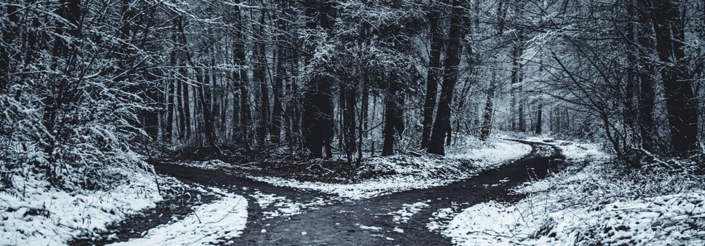 oliver-roos-571292-unsplash