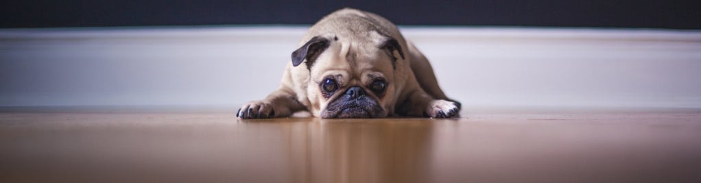 matthew-henry-64794-unsplash