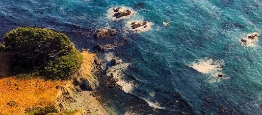 All Employees in California Have Rights at Work