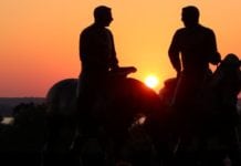 A MAN, A HORSE, AND A DUI