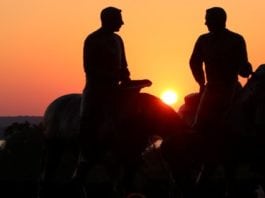A MAN, A HORSE, AND A DUI