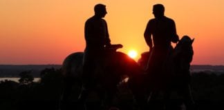 A MAN, A HORSE, AND A DUI