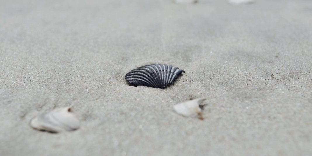 sara-codair-656550-unsplash