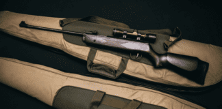 CAN A CALIFORNIA DUI STOP ME FROM BUYING A GUN?