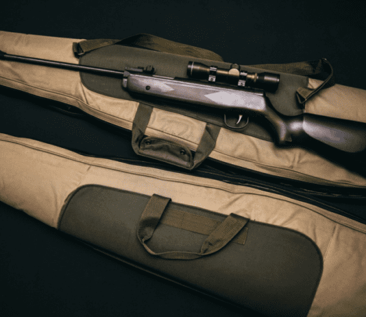 CAN A CALIFORNIA DUI STOP ME FROM BUYING A GUN?