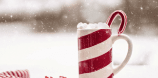 HOW TO AVOID A HOLIDAY DUI