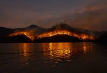 Summary of Major Fires in The US wildfire on mountain