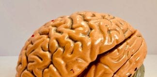 Lasting Effects of Brain Injuries