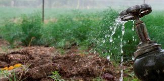 The Camp Lejeune Contamination: Can You Sue? The Camp Lejeune Contamination Can You Sue