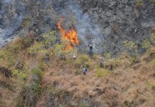 Malibu Brush Fire Malibu brush fire
