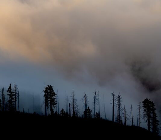 Medical Lake’s Gray Fire Has Destroyed More Than 240 Homes large cloud of smoke hangs in the air following wildfire