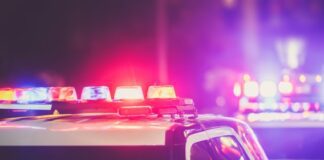 La Mesa Police Officer Lauren Craven Killed While Aiding Crash Victims on Interstate 8 La Mesa Police Officer Lauren Craven Killed While Aiding Crash Victims on Interstate 8